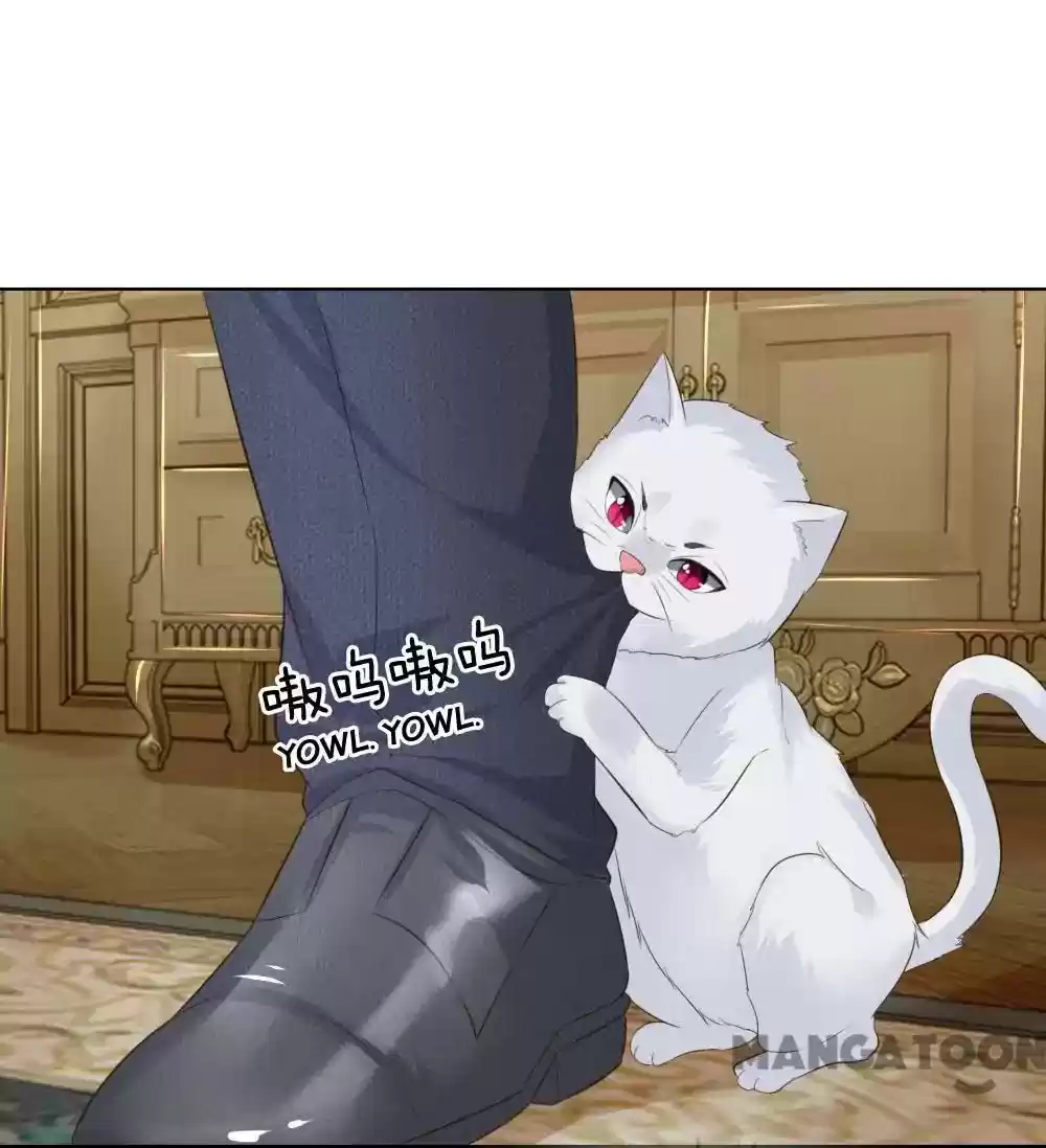 Vampire Adonis Chapter 215