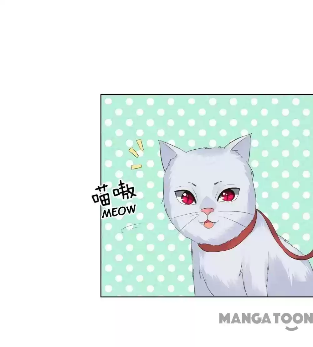 Vampire Adonis Chapter 216