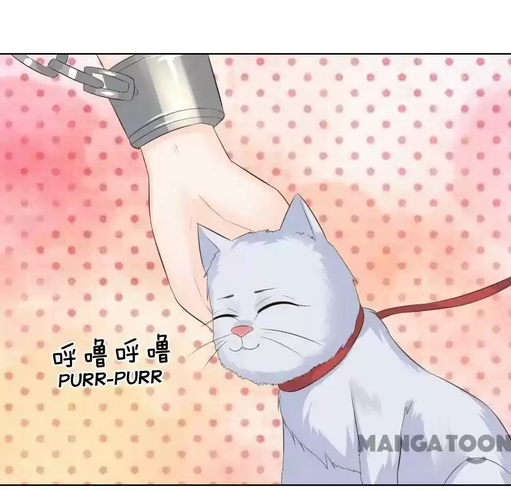 Vampire Adonis Chapter 216