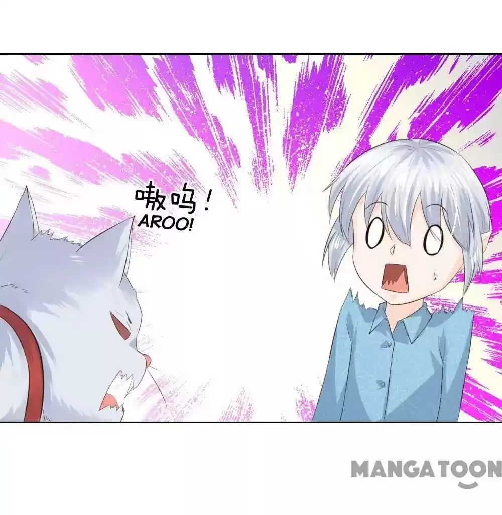 Vampire Adonis Chapter 216