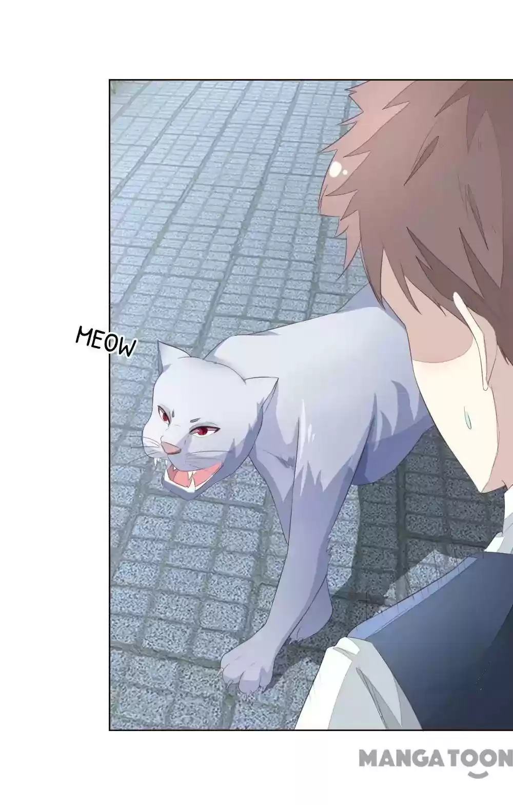 Vampire Adonis Chapter 219