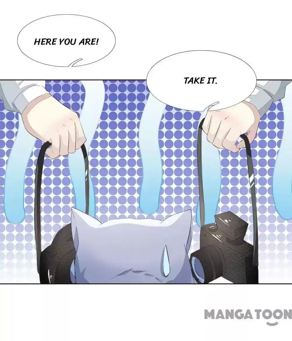 Vampire Adonis Chapter 219