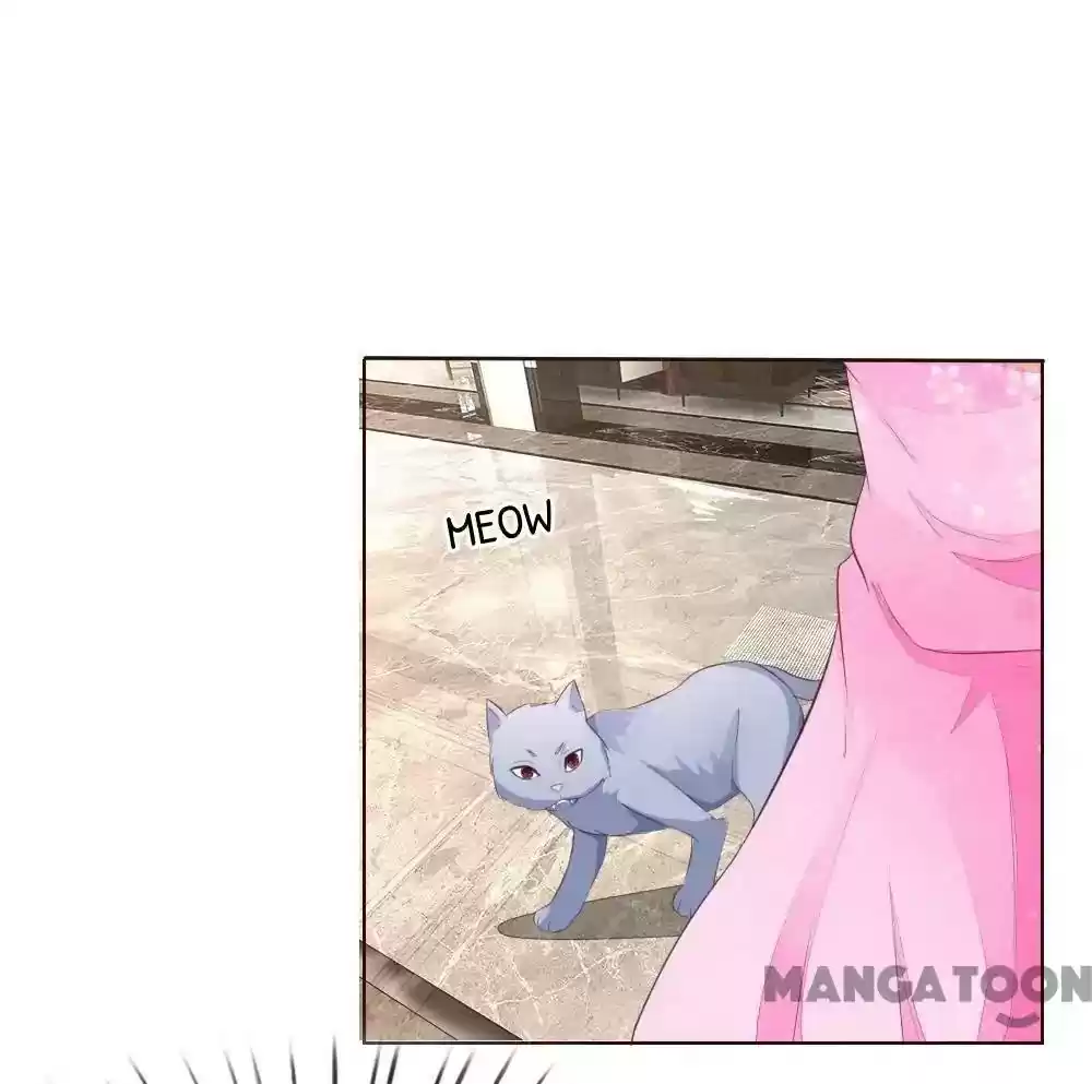 Vampire Adonis Chapter 221