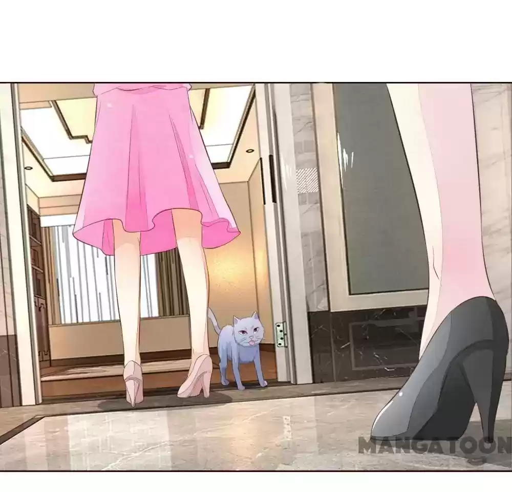 Vampire Adonis Chapter 221