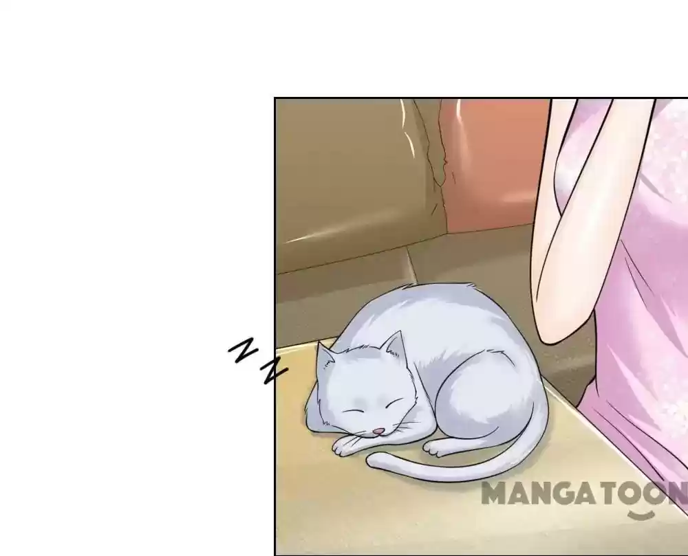 Vampire Adonis Chapter 223