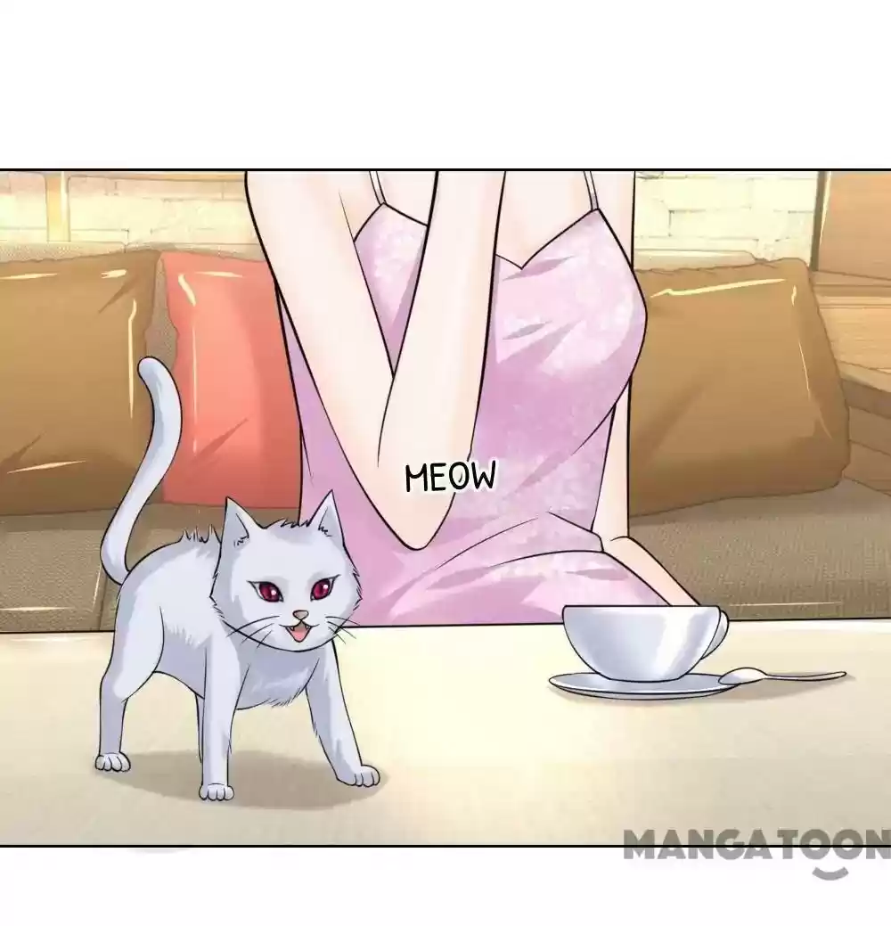 Vampire Adonis Chapter 223