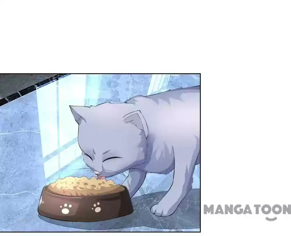 Vampire Adonis Chapter 225