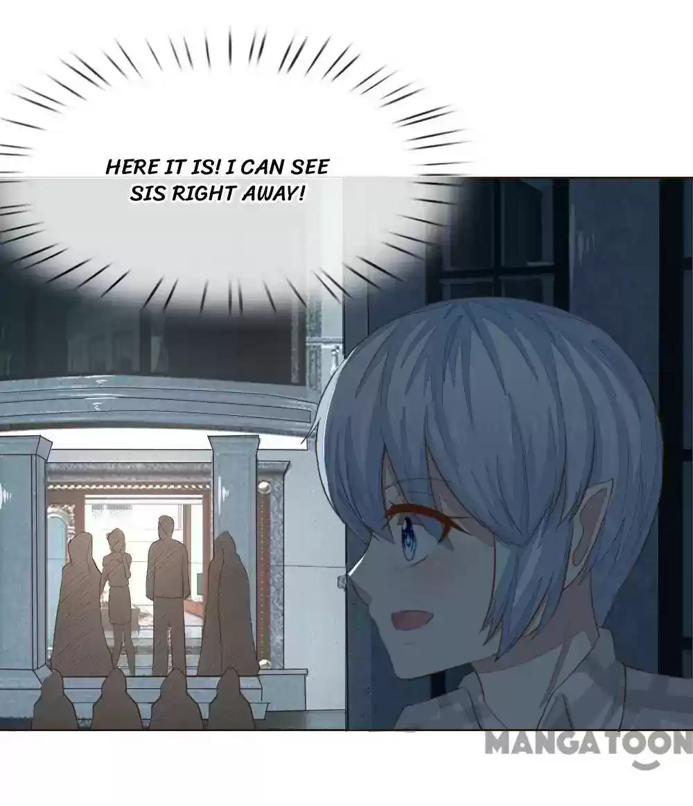 Vampire Adonis Chapter 226