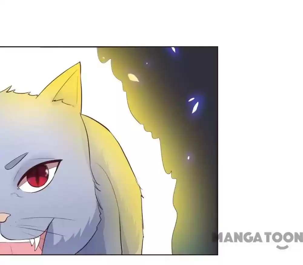 Vampire Adonis Chapter 227