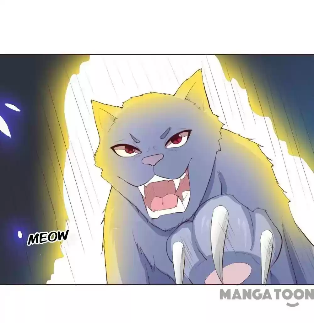 Vampire Adonis Chapter 228