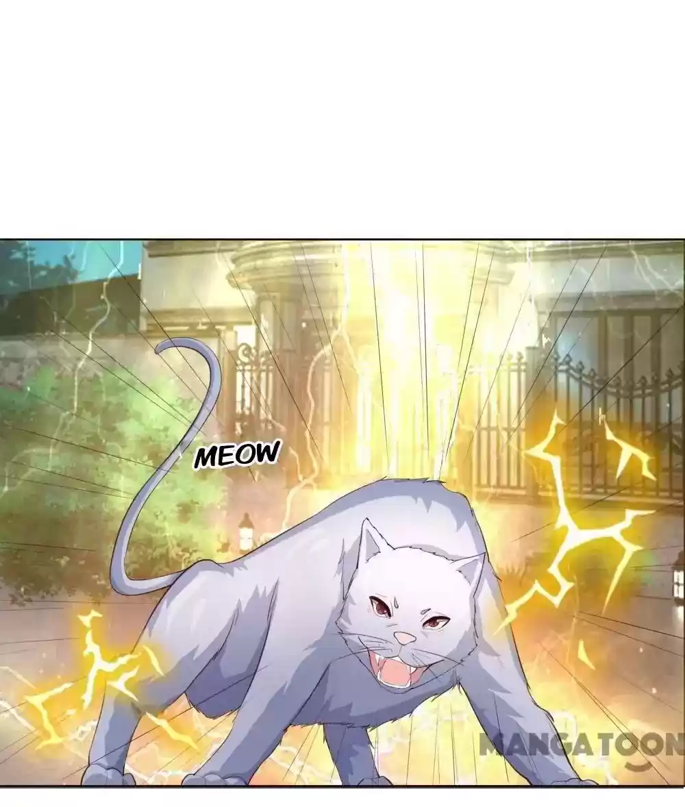 Vampire Adonis Chapter 229