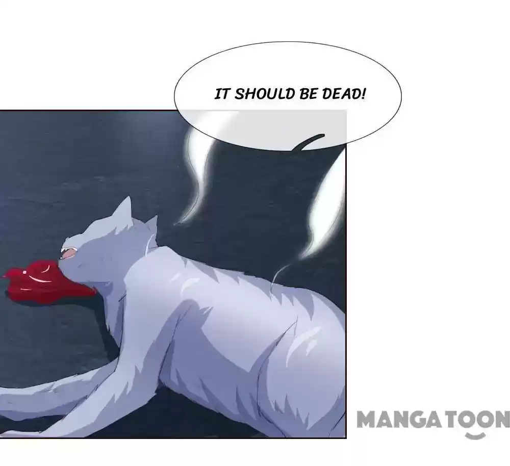 Vampire Adonis Chapter 229