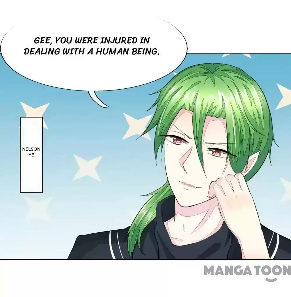 Vampire Adonis Chapter 230