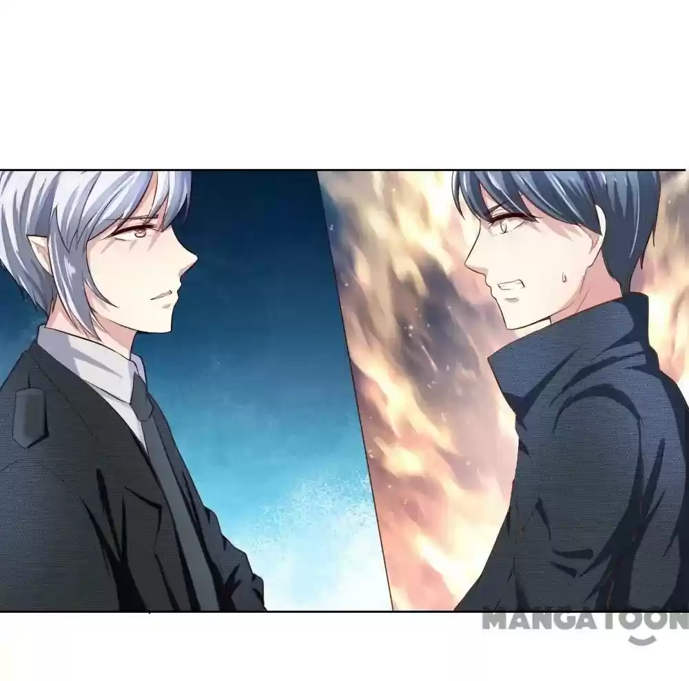 Vampire Adonis Chapter 240