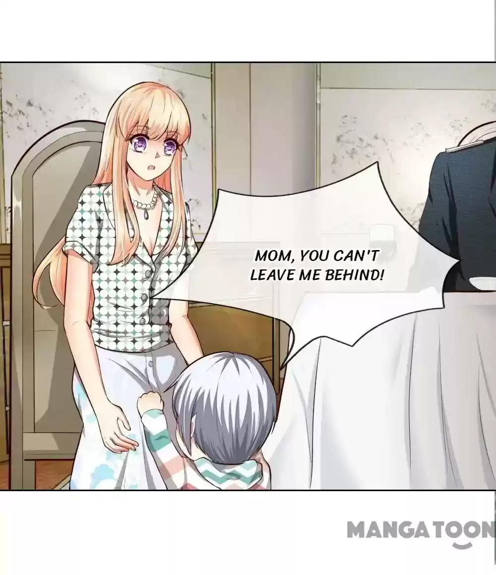 Vampire Adonis Chapter 240