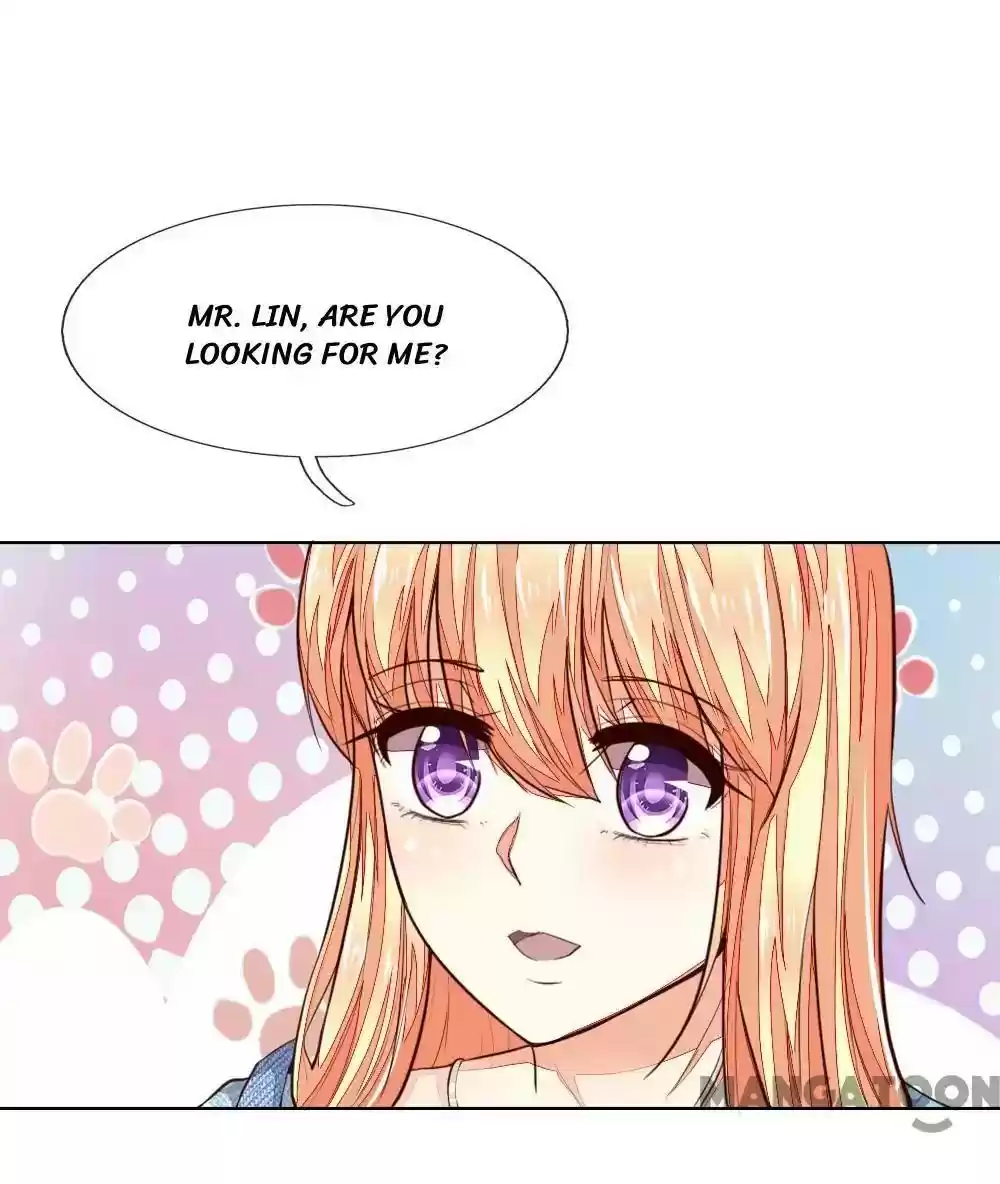 Vampire Adonis Chapter 242