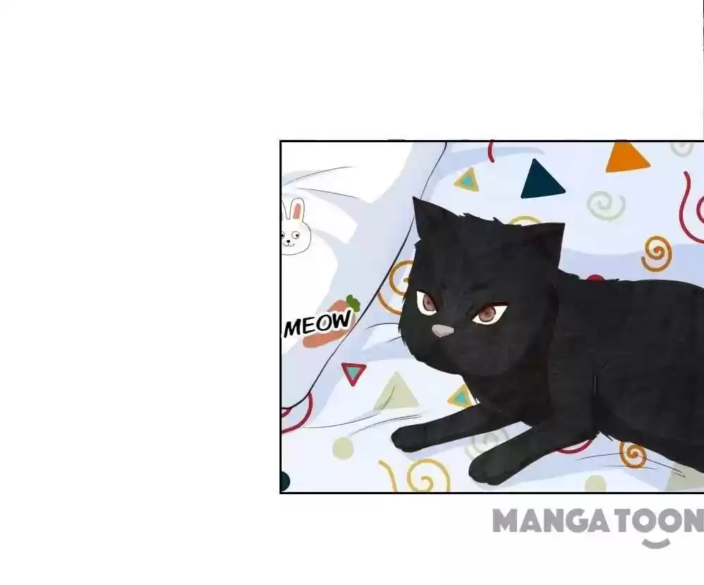 Vampire Adonis Chapter 243