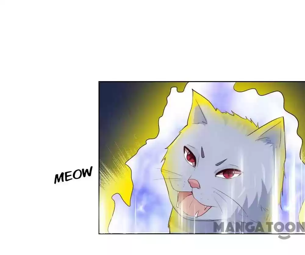 Vampire Adonis Chapter 244