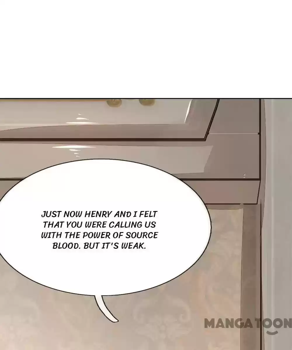 Vampire Adonis Chapter 244