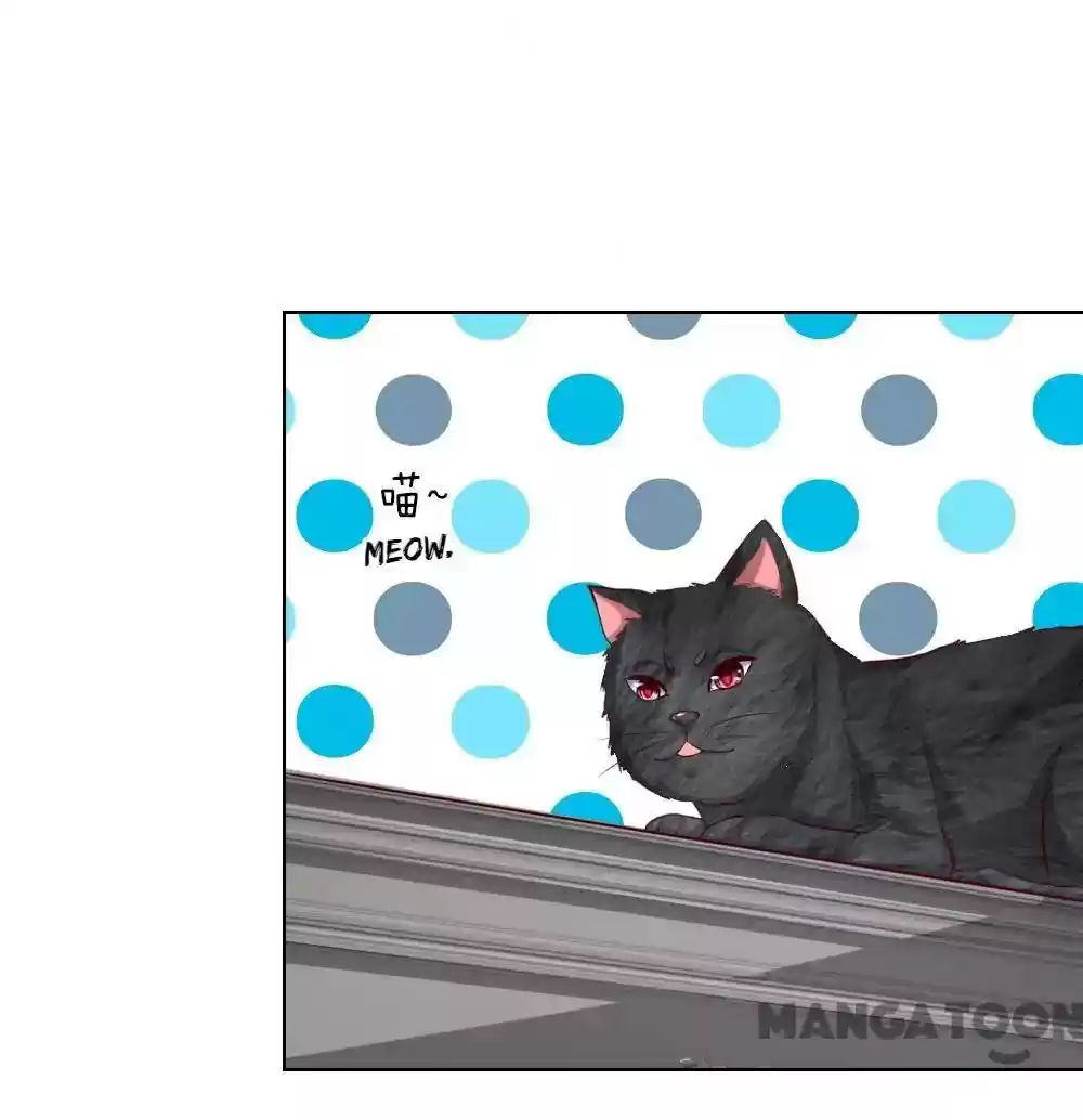 Vampire Adonis Chapter 248