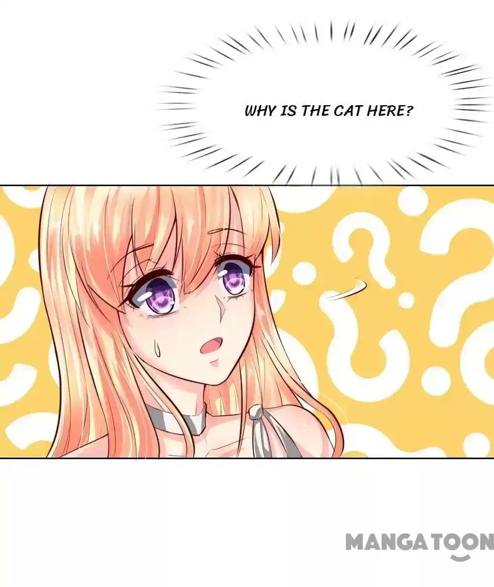 Vampire Adonis Chapter 248