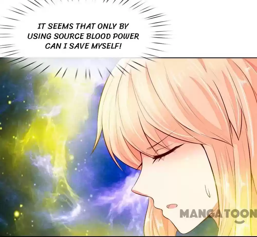 Vampire Adonis Chapter 249