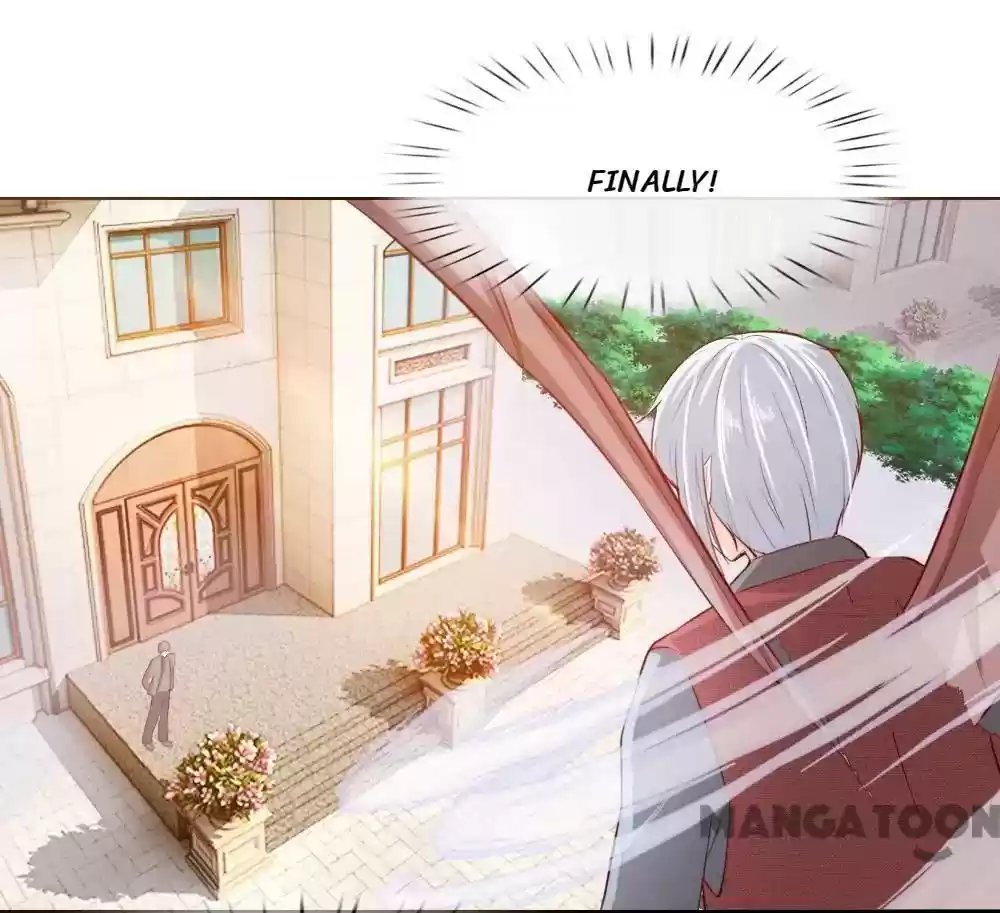 Vampire Adonis Chapter 249