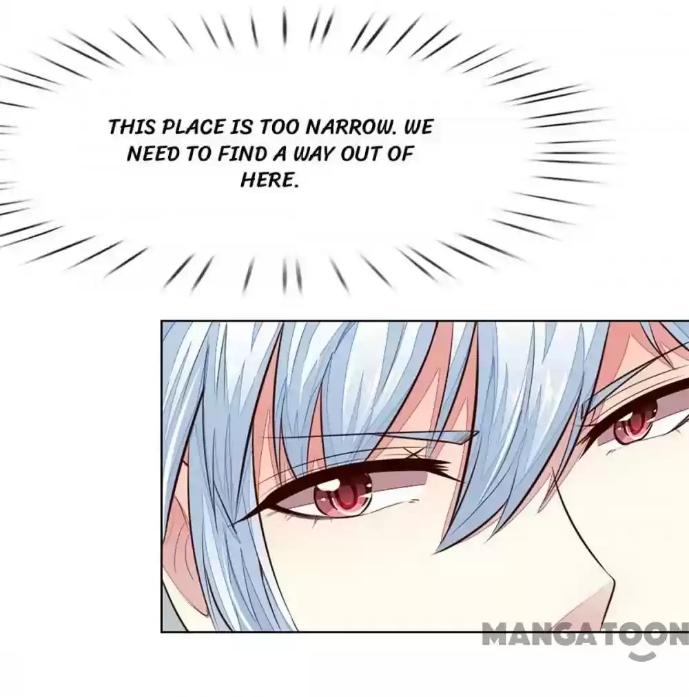 Vampire Adonis Chapter 251