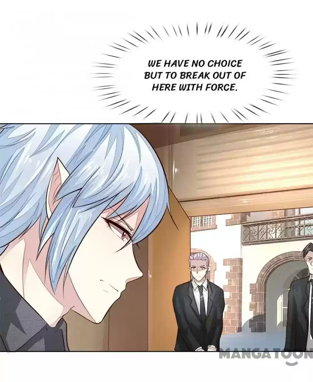 Vampire Adonis Chapter 251