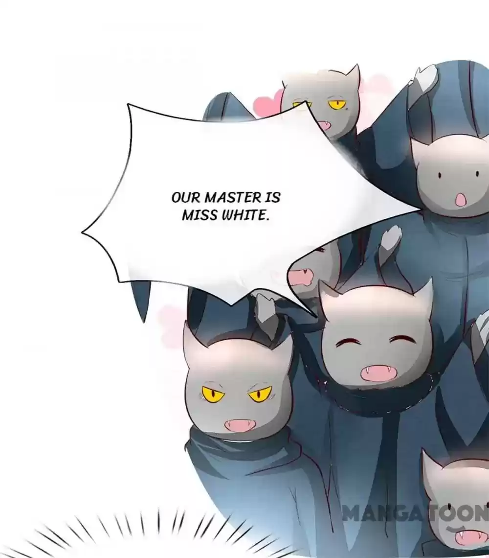 Vampire Adonis Chapter 254