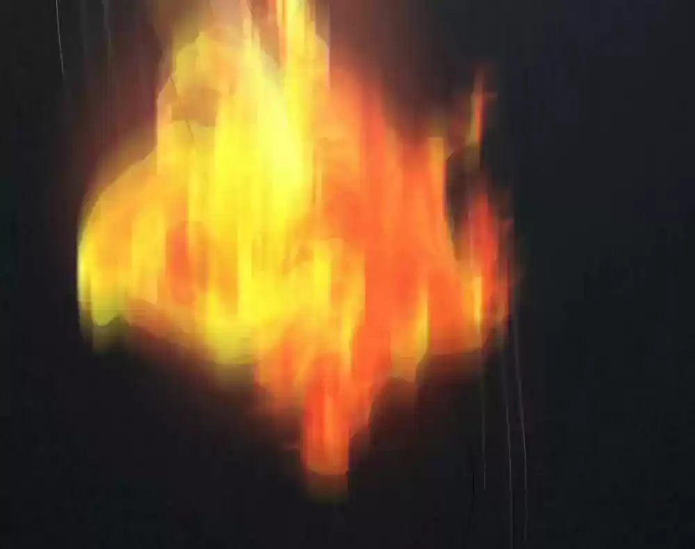 Vampire Adonis Chapter 39