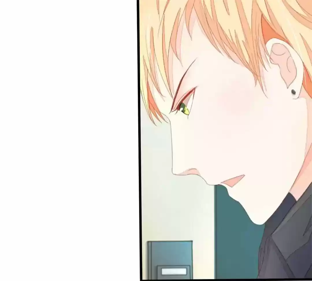 Vampire Adonis Chapter 5