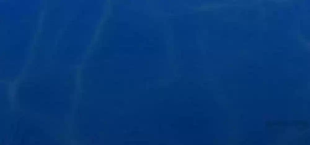 Vampire Adonis Chapter 61