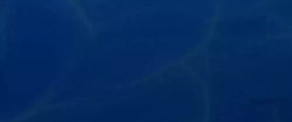 Vampire Adonis Chapter 61