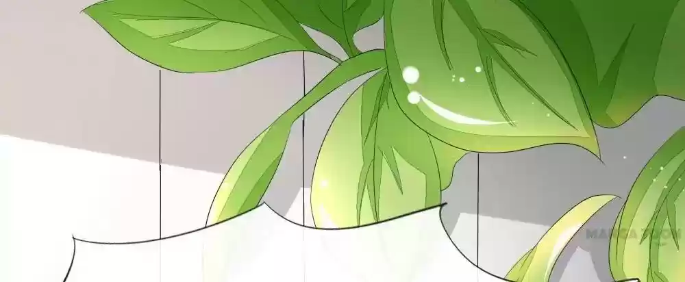 Vampire Adonis Chapter 70