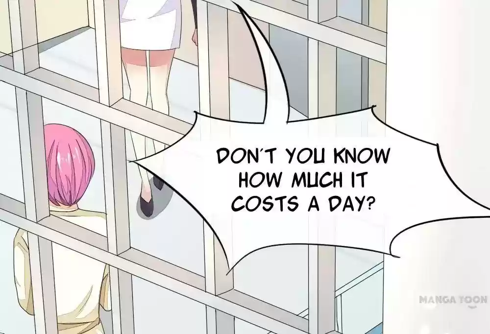 Vampire Adonis Chapter 70