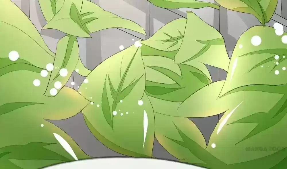 Vampire Adonis Chapter 70