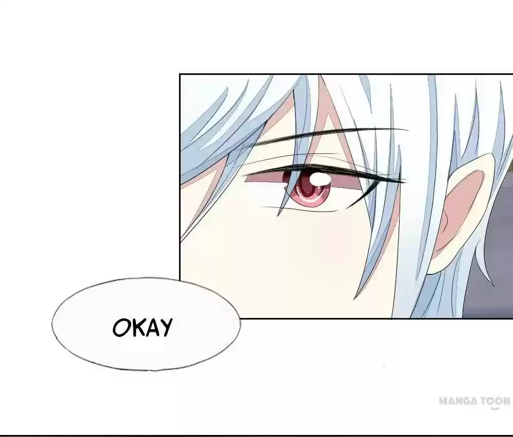 Vampire Adonis Chapter 74