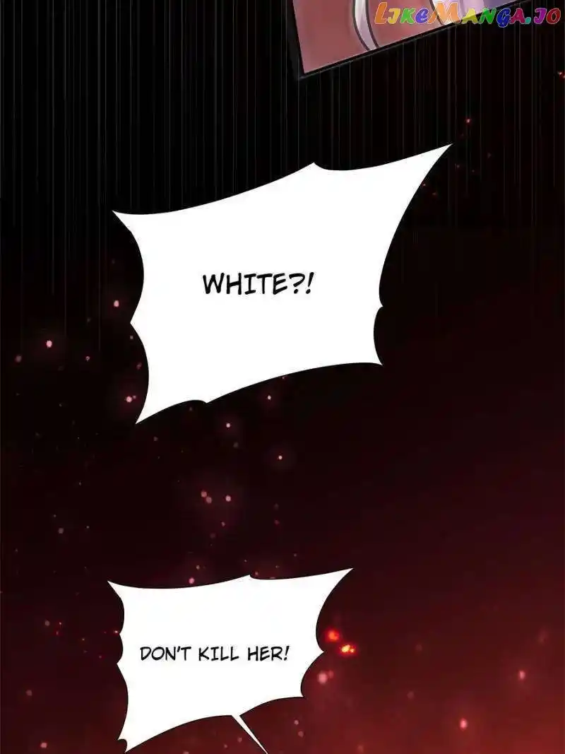 Vampires And Knight Chapter 243