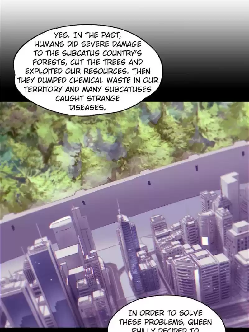 Vampires And Knight Chapter 63