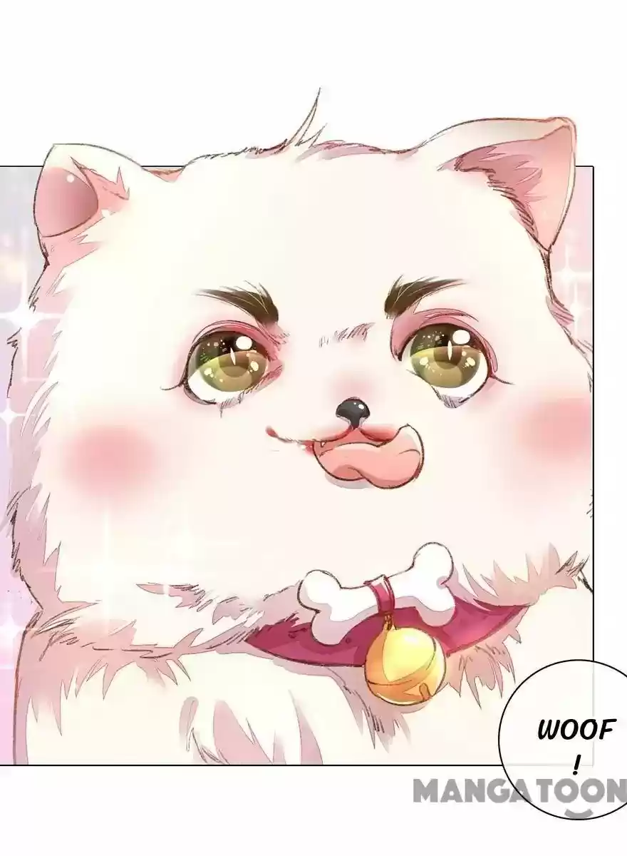 Wanzhang guangmang buji ni Chapter 104