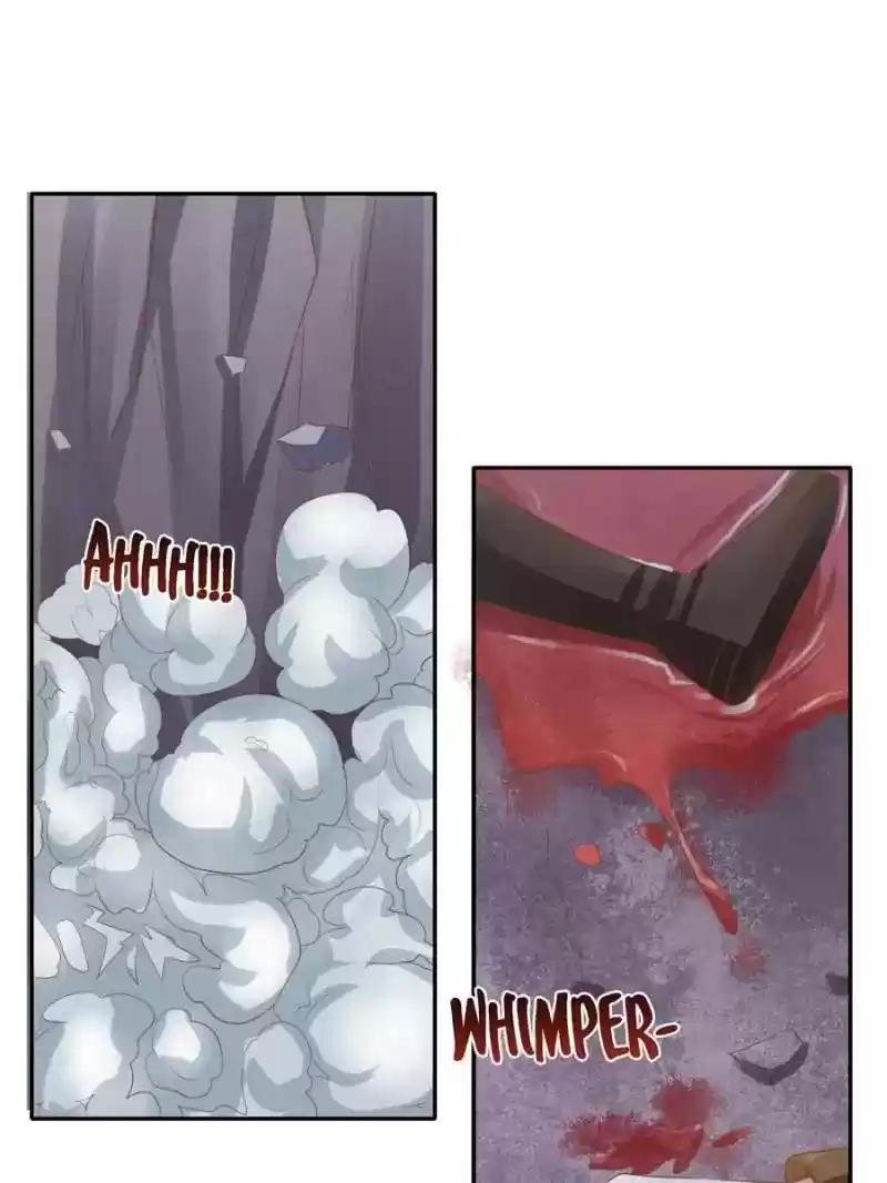 Warlord Husband: Shenshen is Gonna be the Winner Chapter 100