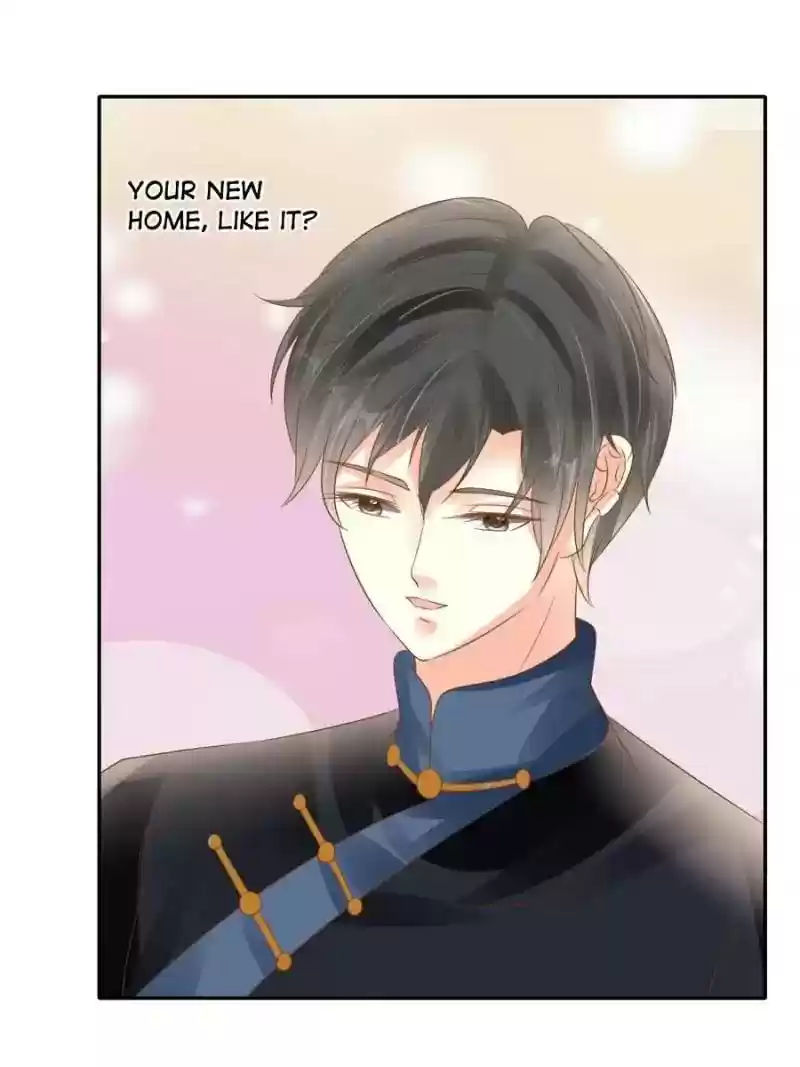 Warlord Husband: Shenshen Is Gonna Be the Winner Chapter 111