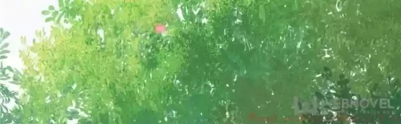 Warlord Husband: Shenshen Is Gonna Be the Winner Chapter 112