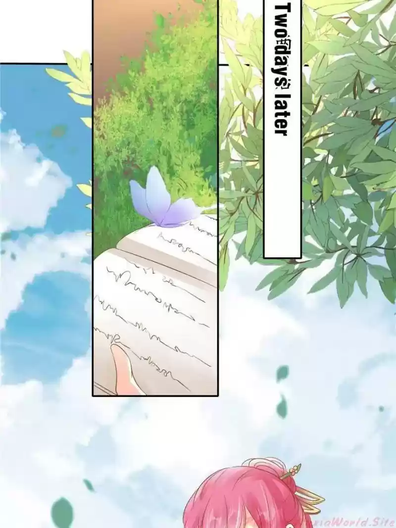 Warlord Husband: Shenshen Is Gonna Be the Winner Chapter 113