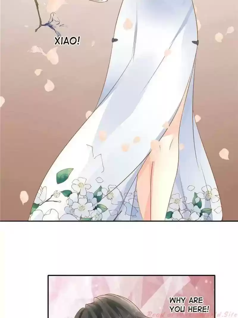 Warlord Husband: Shenshen Is Gonna Be the Winner Chapter 113