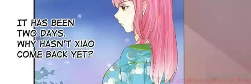 Warlord Husband: Shenshen Is Gonna Be the Winner Chapter 122