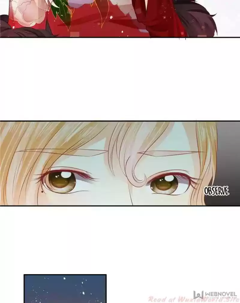 Warlord Husband: Shenshen Is Gonna Be the Winner Chapter 133