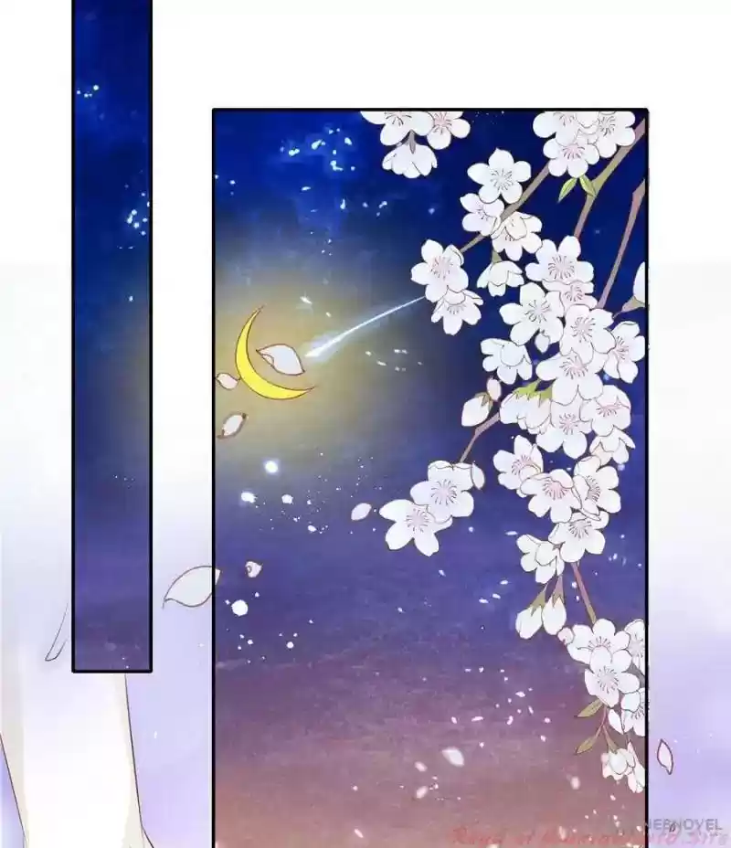 Warlord Husband: Shenshen Is Gonna Be the Winner Chapter 135