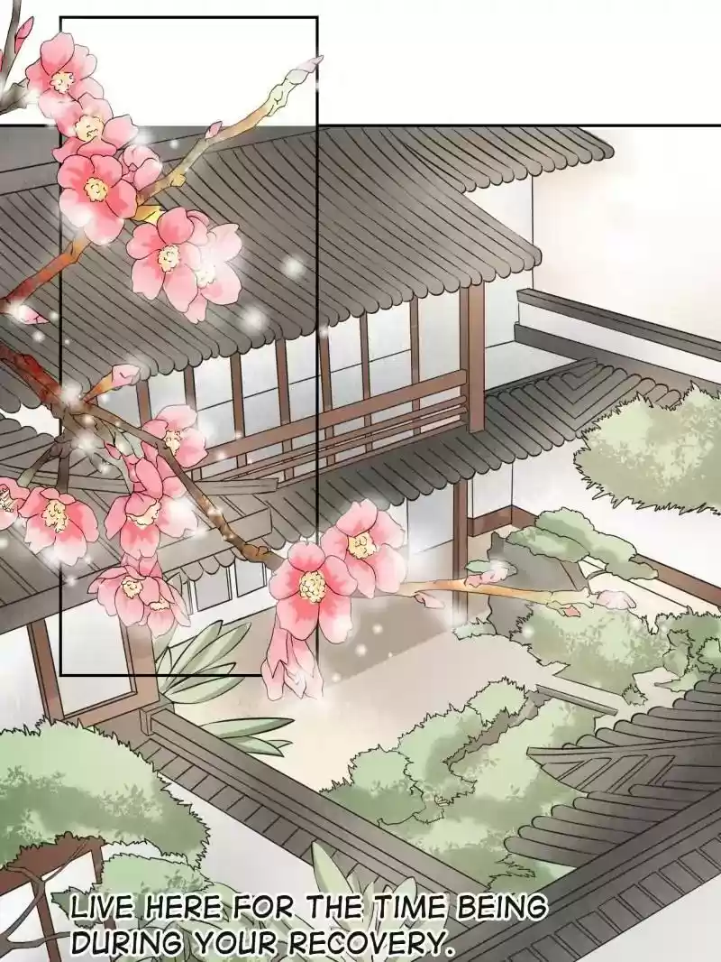 Warlord Husband: Shenshen is Gonna be the Winner Chapter 20